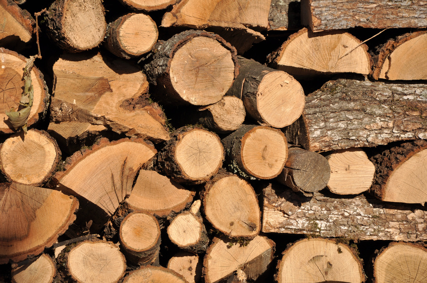 Fire Wood